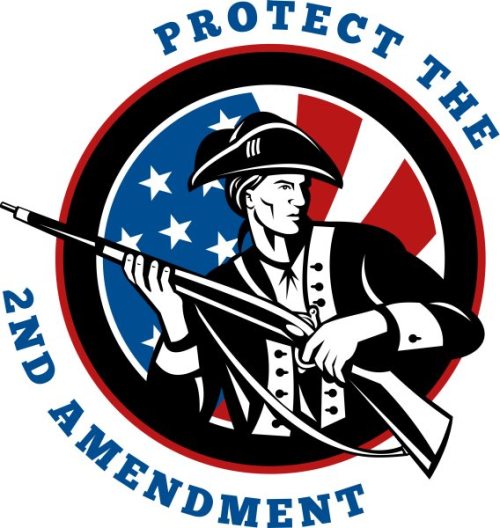 NX_american_revolutionary_rifleside_protect2nd